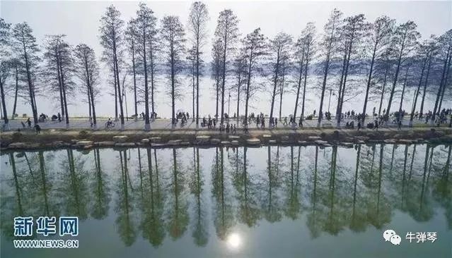 武汉的朋友：这个春节，能不去外地就别去外地了吧！