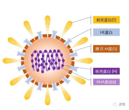 疫情笼罩，这3点，是多么痛苦的领悟！