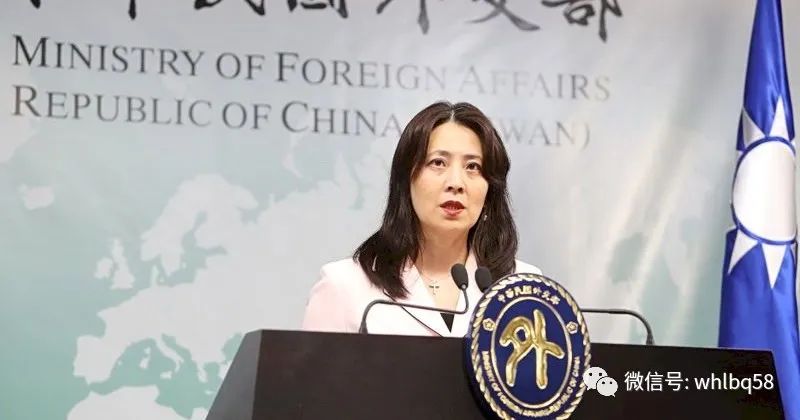 台当局"外交部"发言人欧江安称,"台湾与美国将在《台美防疫伙伴关系